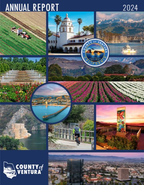 Annual Report 2024