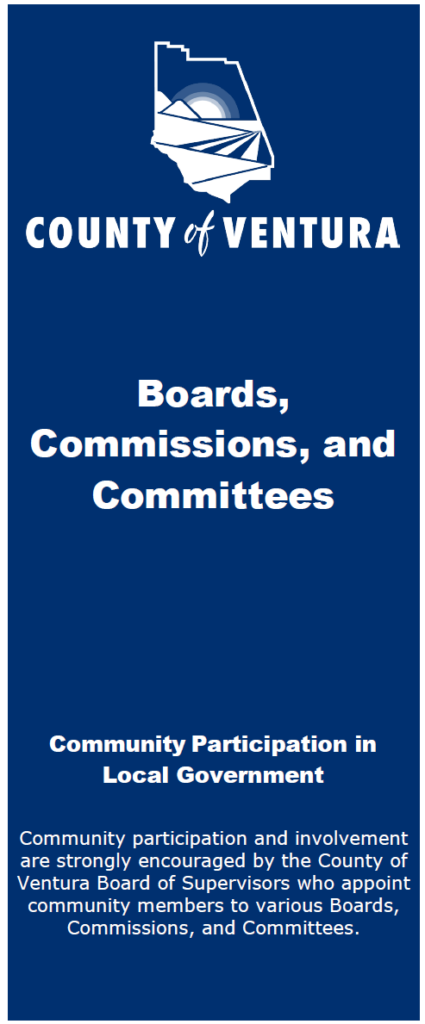 InformationalPamphlet Slide 1