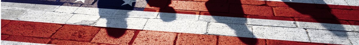 CAPI Banner
