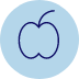 Apple Icon